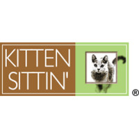 Kitten Sittin' Cat Sitting Franchise