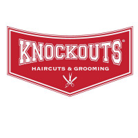 Knockouts Franchise